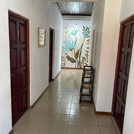 Hotel Villa Margarita Flores Esterno foto