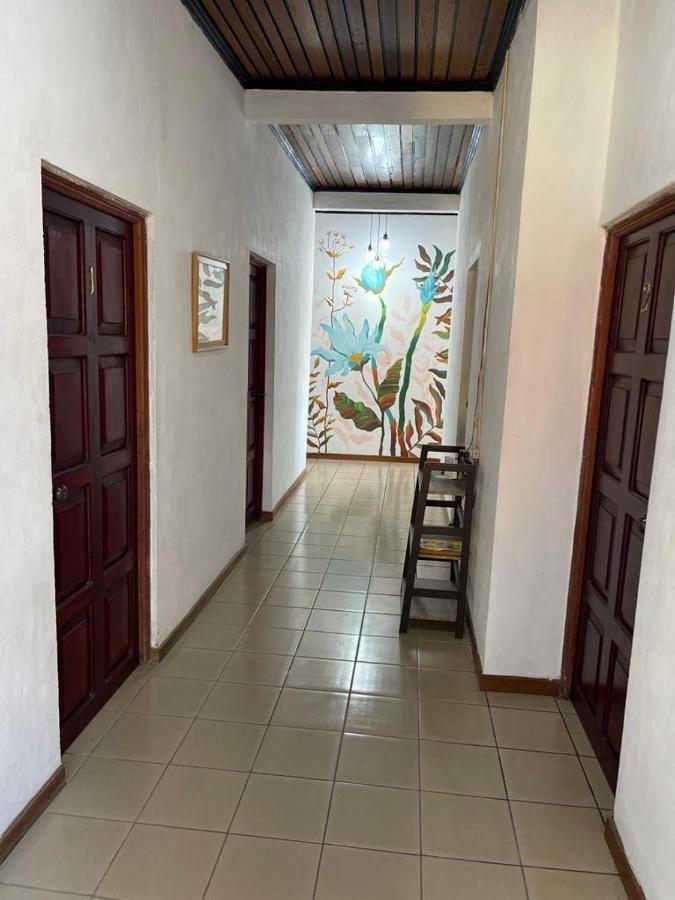 Hotel Villa Margarita Flores Esterno foto